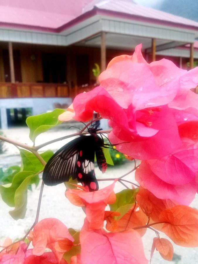 Nusa Nalan Beach Resort Rumah Olat Exterior foto